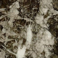 Grigio Carnico Esempio di Grigio Carnico
