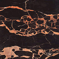 Portoro Esempio di Portoro
