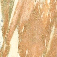 Rosa Norvegia Esempio di Rosa Norvegia
