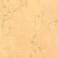 Rosa Perlino Esempio di Rosa Perlino