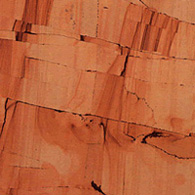Teak Wood Esempio di Teak Wood