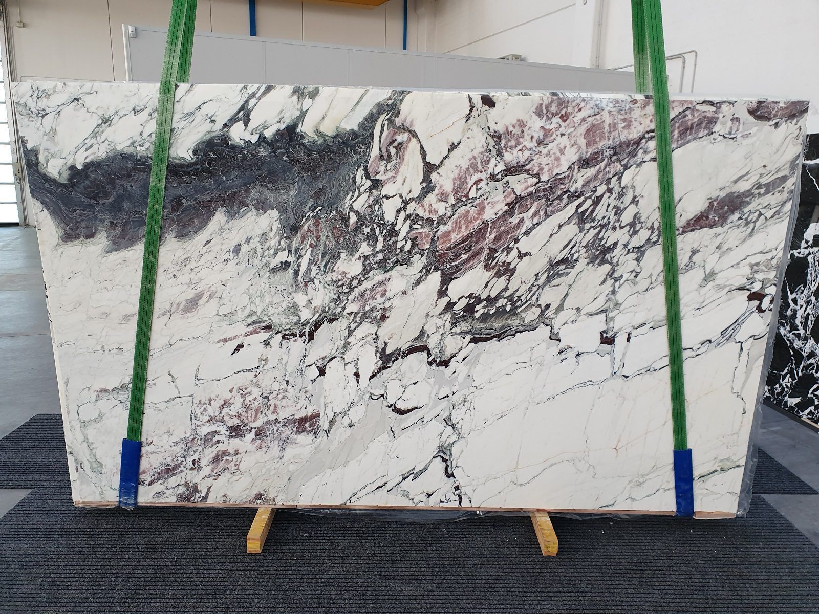 Breccia Capraia