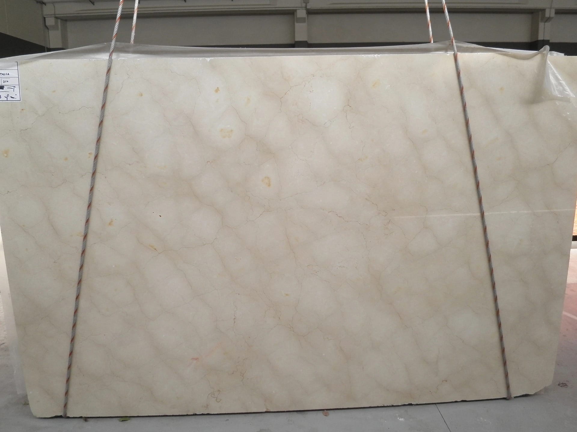 Beige Italia