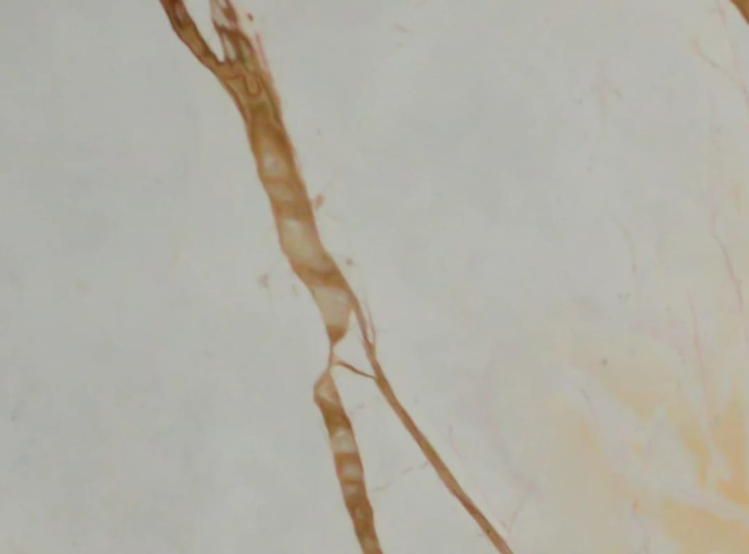 Bianco Havana, detail 1