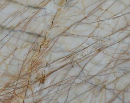 Golden Spider, dettaglio 2
