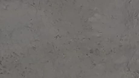 Grigio Borgogna, détail 1