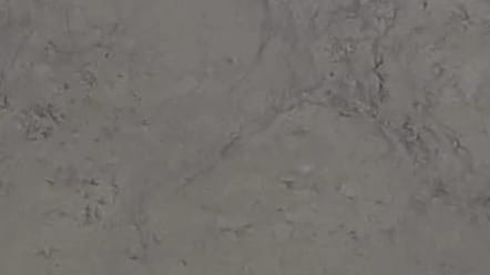 Grigio Borgogna, détail 2