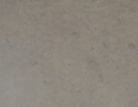 Havana Brown, dettaglio 1
