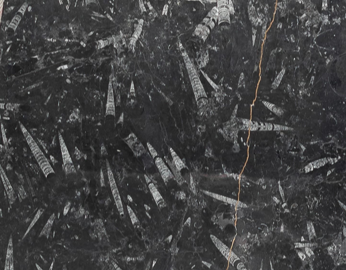Nero Fossile, dettaglio 1