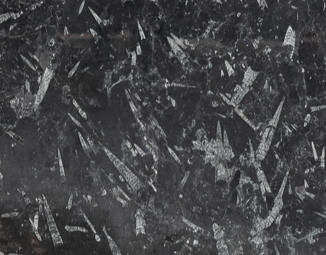 Nero Fossile, dettaglio 2