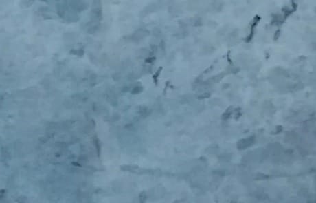 Opal Blue, dettaglio 1