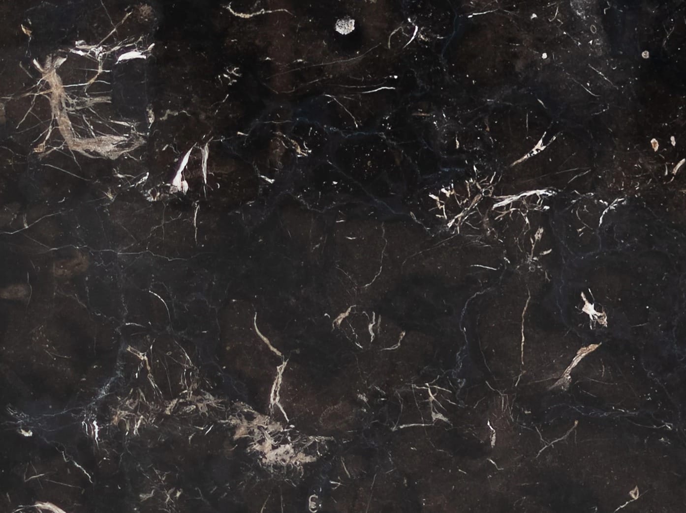 Oriental Brown, dettaglio 1