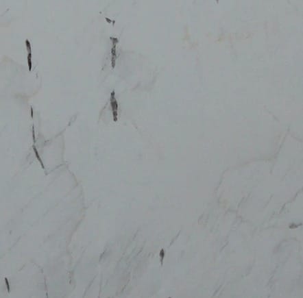 Palissandro Bianco, dettaglio 2