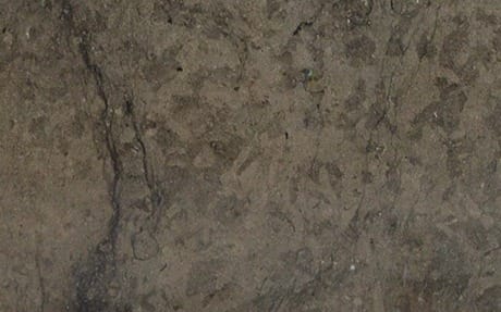 Rasotica, detail 1