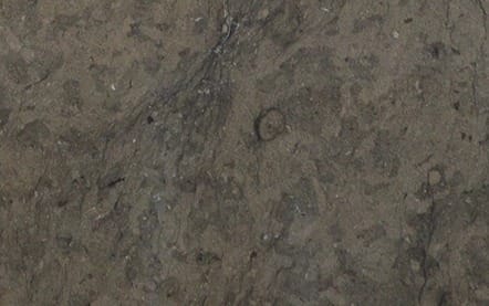 Rasotica, detail 2