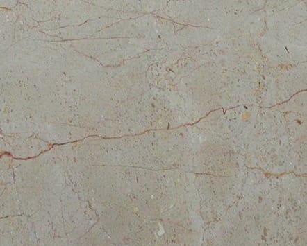 Rosalia, dettaglio 2