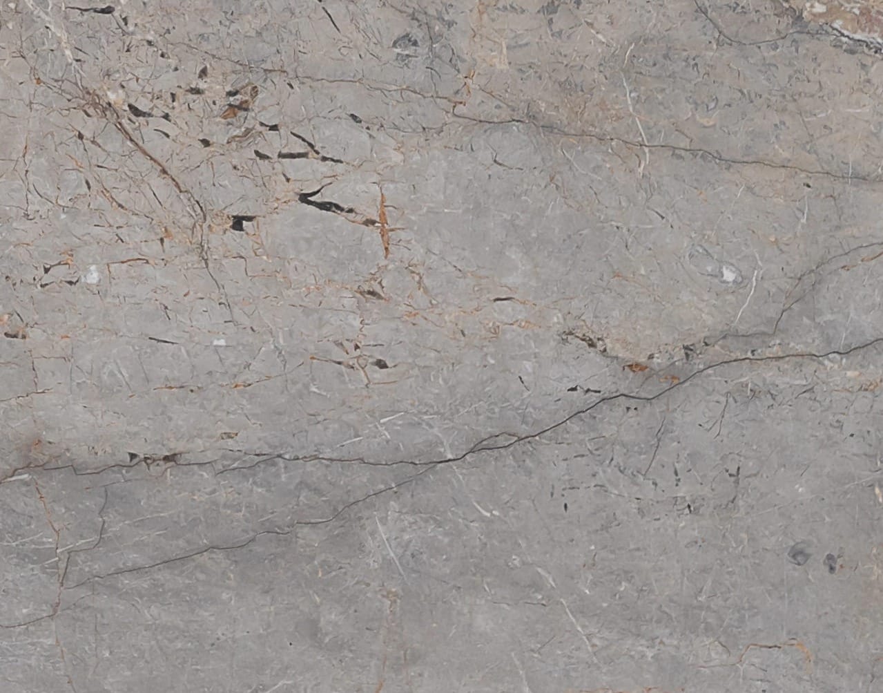 Silver Root, détail 2