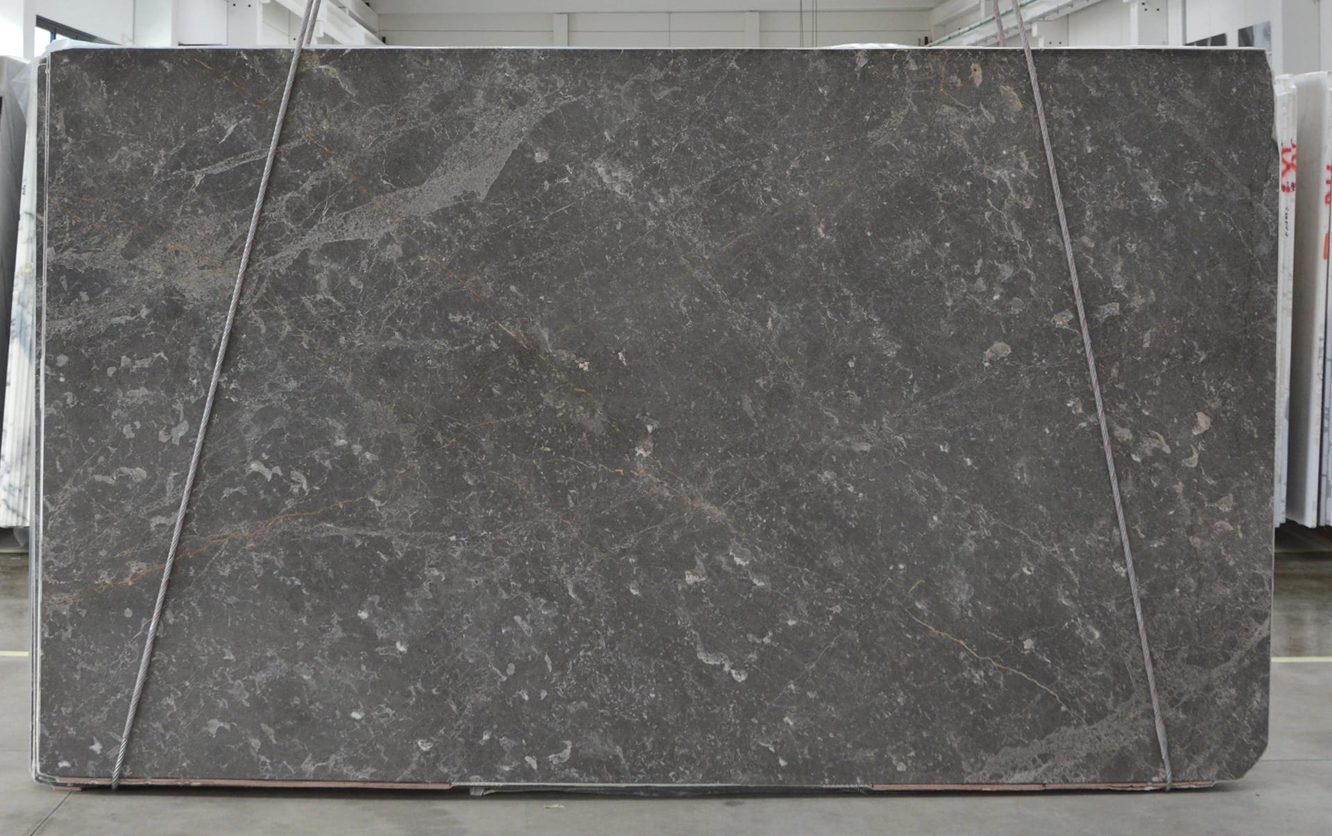 Tundra Grey