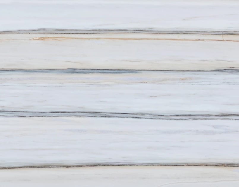 Zebrino, detail 2