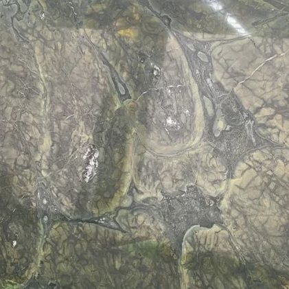 Turtle Green, dettaglio 1