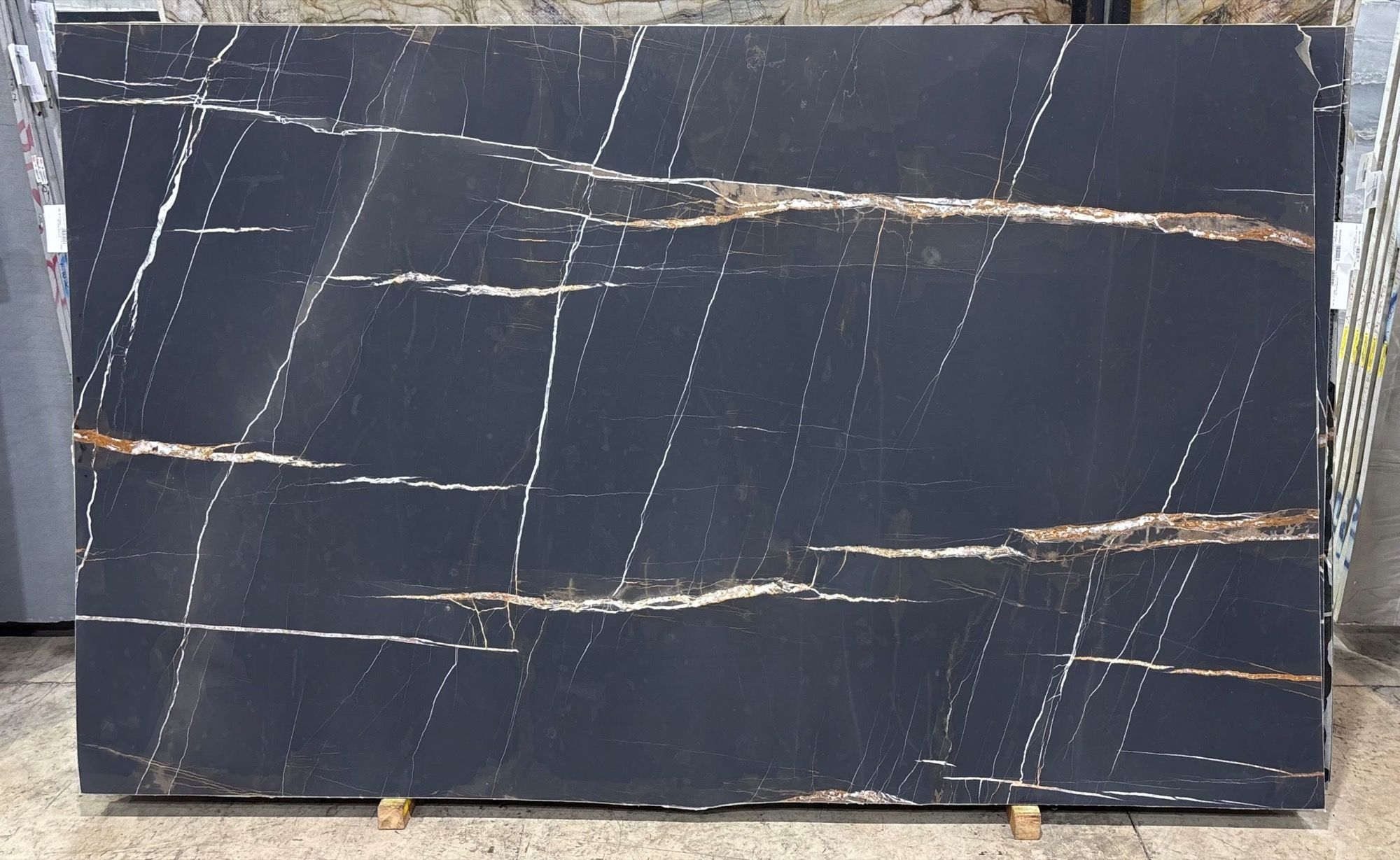 Sahara Noir